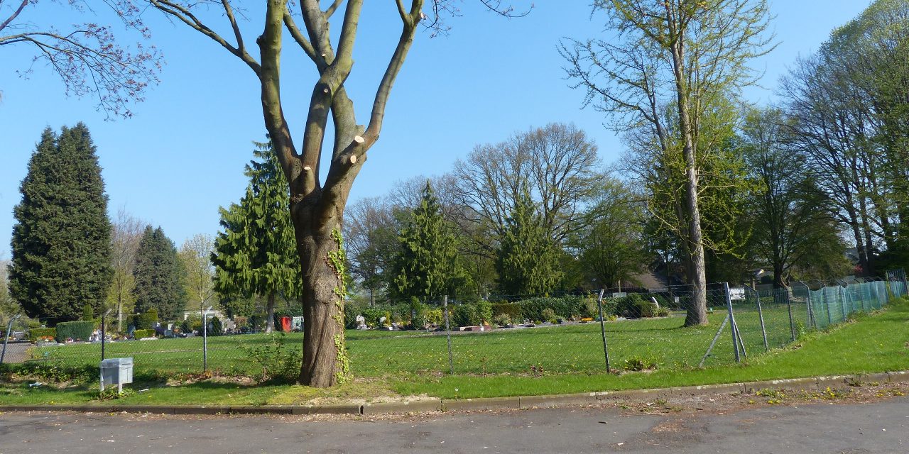 Einfriedung Friedhof Brauweiler wiederherstellen