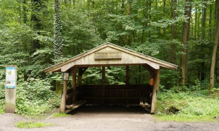 Der Dansweiler Hütte geht es nicht gut