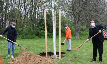 Eine Linde für das „Projekt Zukunft“: Schüler pflanzen einen Baum