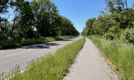 Sanierung der L 93 in Pulheim zwischen Hahnenstraße und Venloer Straße soll im August beginnen