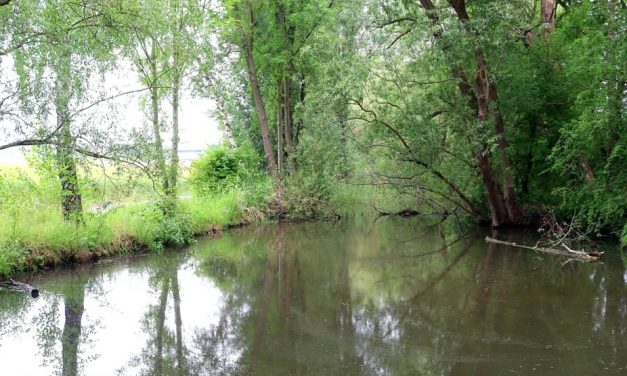 Pulheim auf dem Weg zur wassersensiblen Stadt