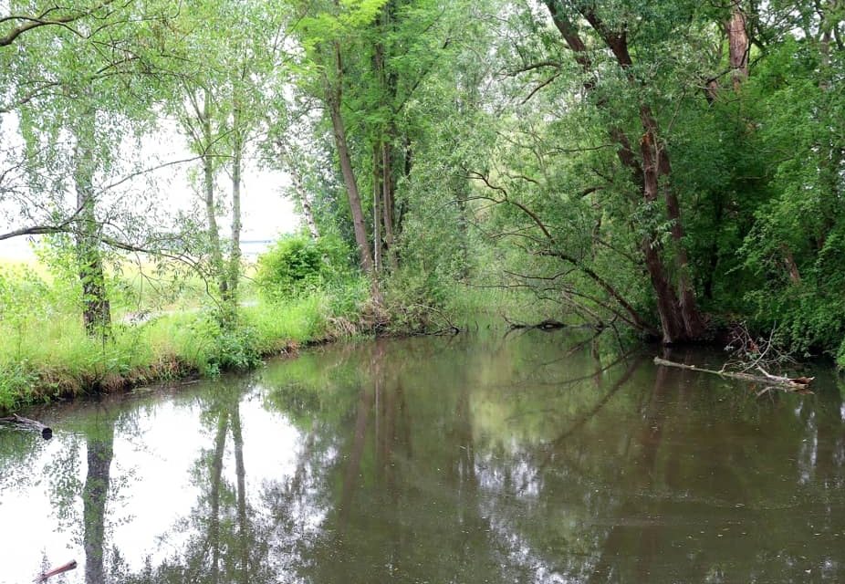 Pulheim auf dem Weg zur wassersensiblen Stadt