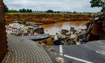 Die Kiesgrube in Erftstadt