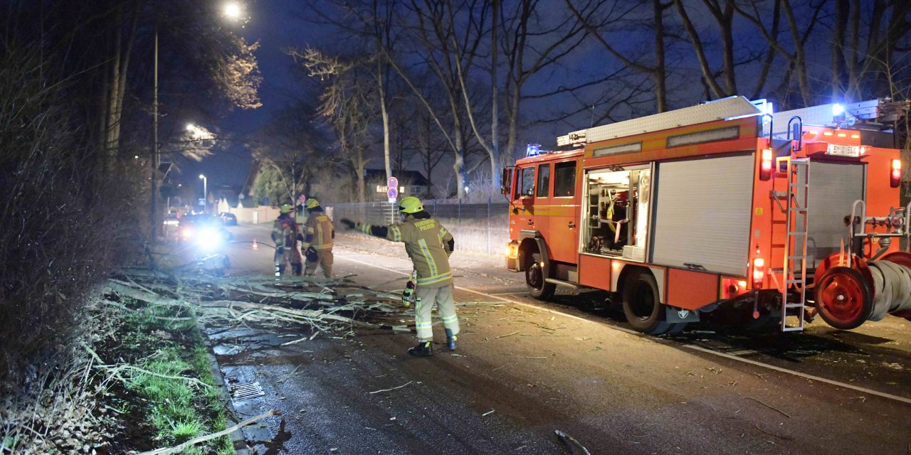 Sturm Zeynep zerstört Flachdach in Pulheim und entwurzelt Bäume