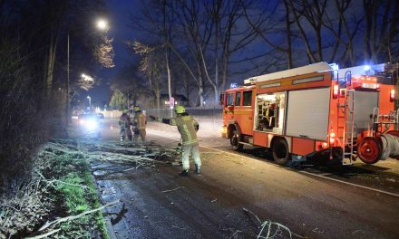Sturm Zeynep zerstört Flachdach in Pulheim und entwurzelt Bäume