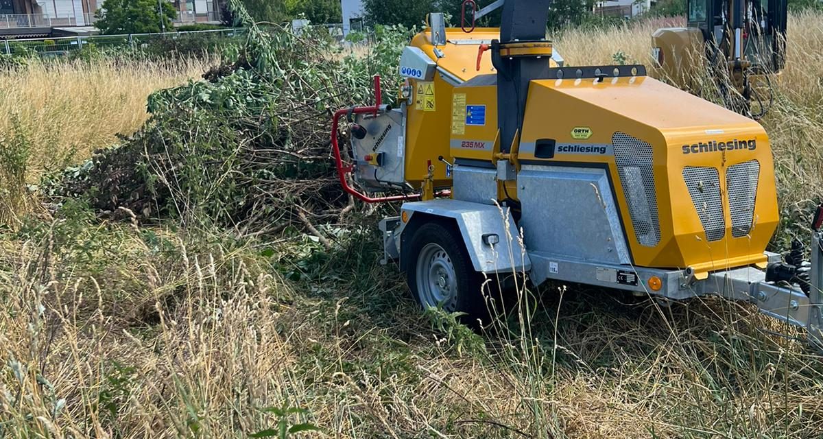 Wer hat das genehmigt? Umfangreiche Schnitt- und Rodungsarbeiten in der Vogelschutzzeit in Sinnersdorf – BVP hakt nach!