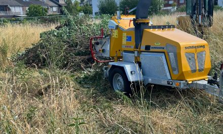 Wer hat das genehmigt? Umfangreiche Schnitt- und Rodungsarbeiten in der Vogelschutzzeit in Sinnersdorf – BVP hakt nach!