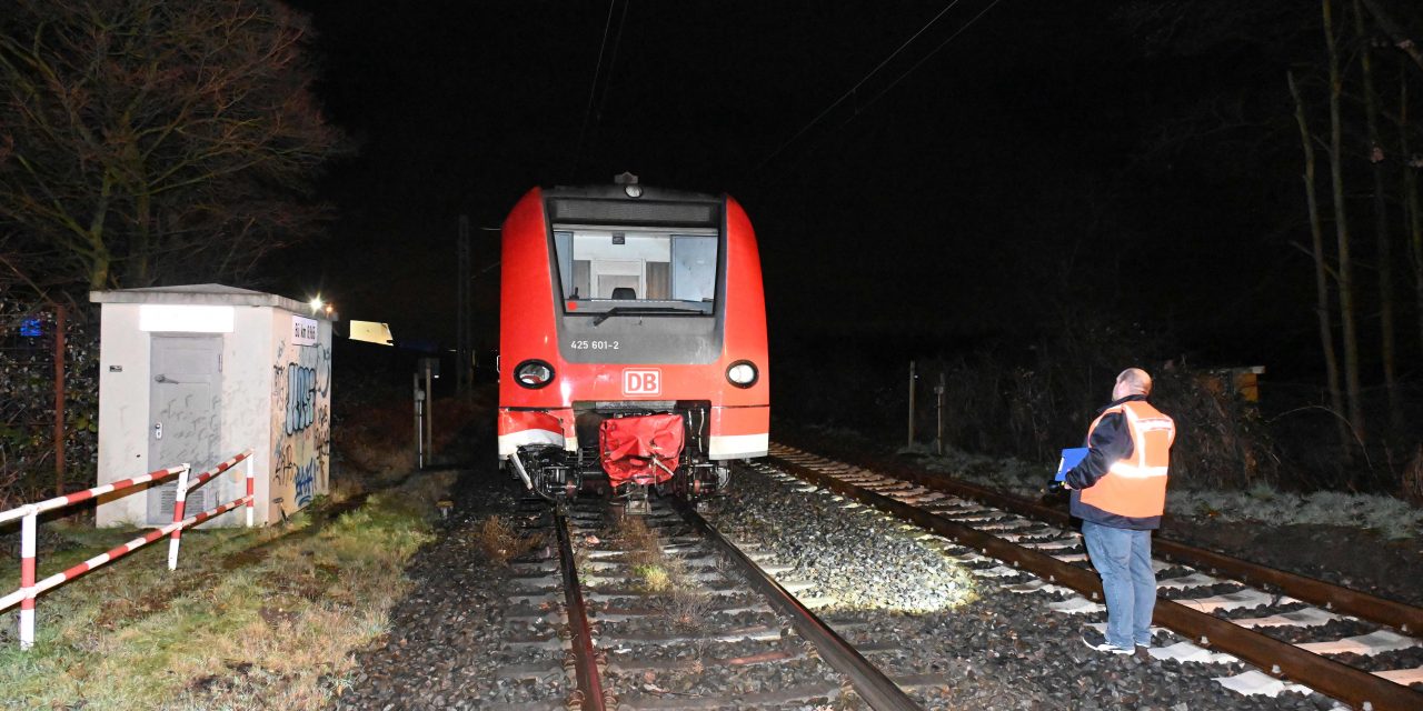 Pulheim: Pferde von Regionalexpress überrollt