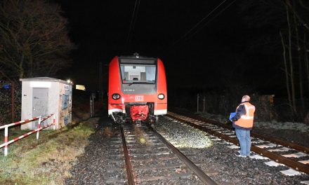 Pulheim: Pferde von Regionalexpress überrollt