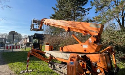 Geplante Baumpflege und Fällarbeiten in Stommeln  – BVP hakt nach