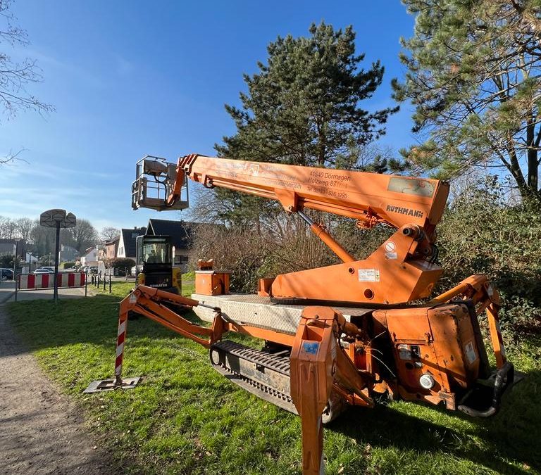 Geplante Baumpflege und Fällarbeiten in Stommeln  – BVP hakt nach