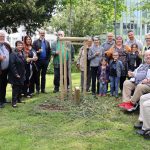 Ein Baum erinnert an jahrzehntelanges Engagement