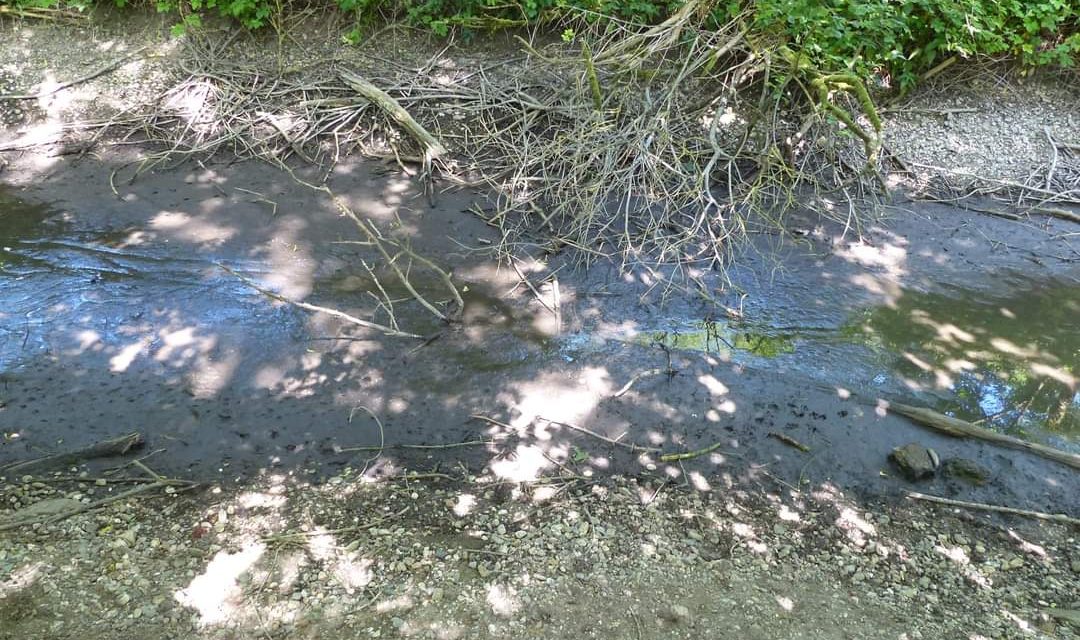 Sicherstellung einer Notwasserversorgung für das Naturschutzgebiet Große Laache – BVP stellt Dringlichkeitsantrag für den Rat