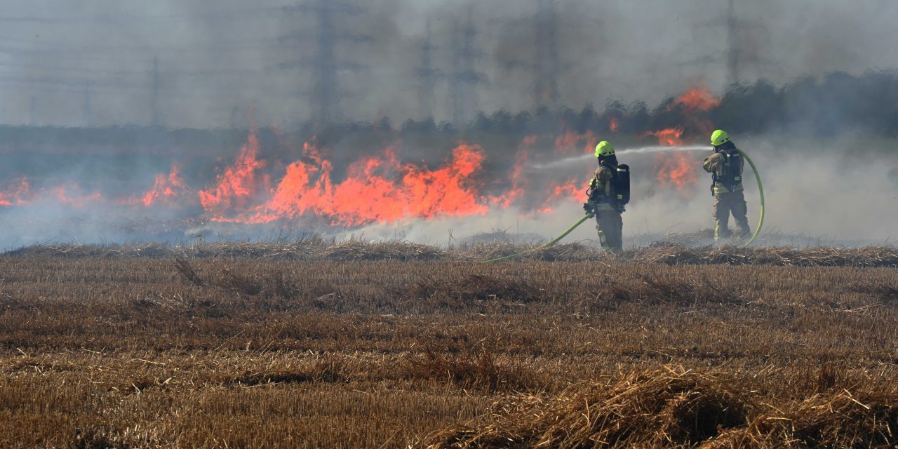 Feldbrand in Pulheim