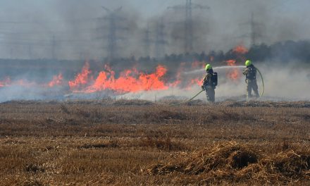 Feldbrand in Pulheim