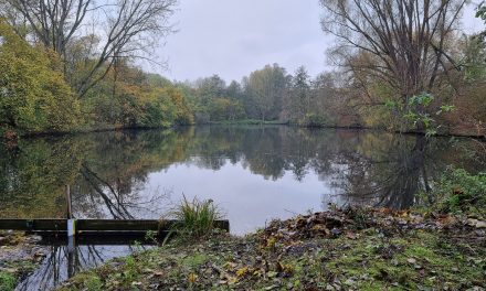 Große Laache, ein besonderes Juwel für ganz Pulheim