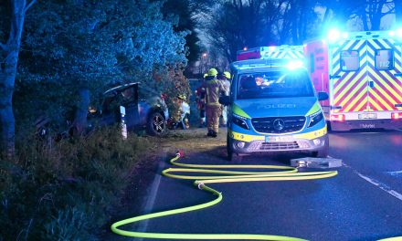 Pulheim: PKW prallte auf der Bonnstraße gegen Baum