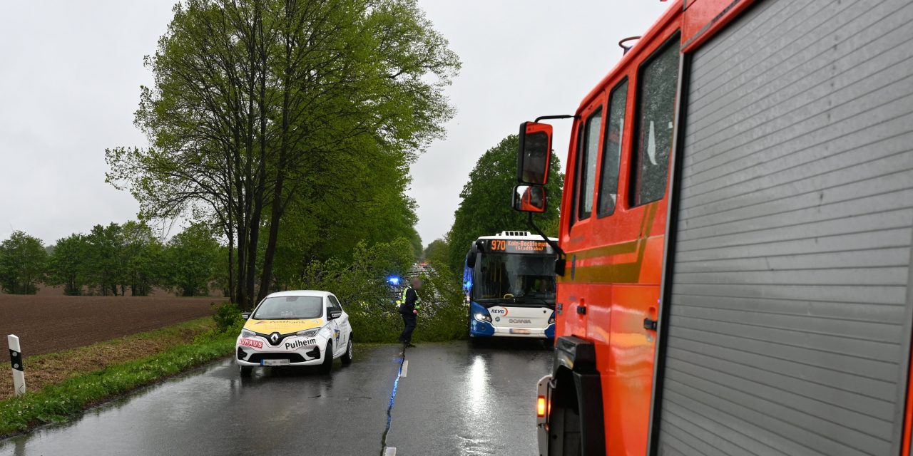 Sturmeinsätze beschäftigten die Feuerwehr