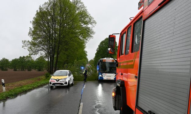 Sturmeinsätze beschäftigten die Feuerwehr