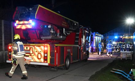 Feuer in Gärtnereibetrieb