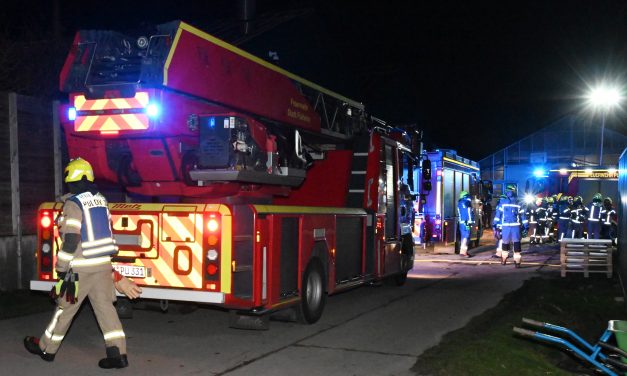 Feuer in Gärtnereibetrieb