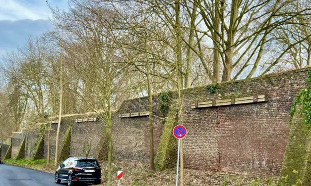 Geplante Baumfällungen am Abteipark ohne rechtzeitige Kommunikation!