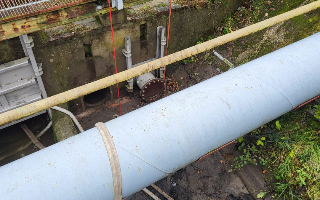 Große Laache bei Ölalarm schützen