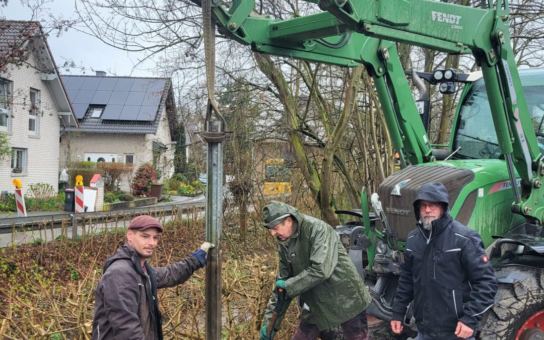 Hecke statt Leitplanke