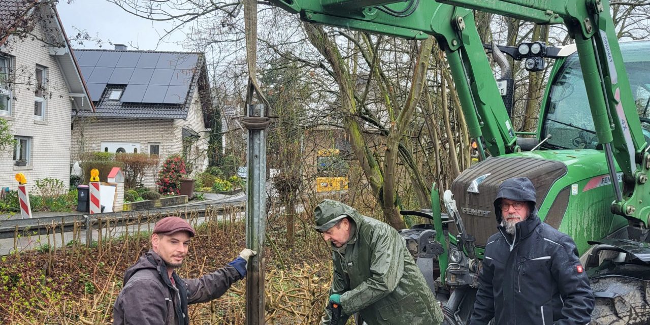 Hecke statt Leitplanke