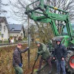 Hecke statt Leitplanke
