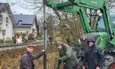 Hecke statt Leitplanke