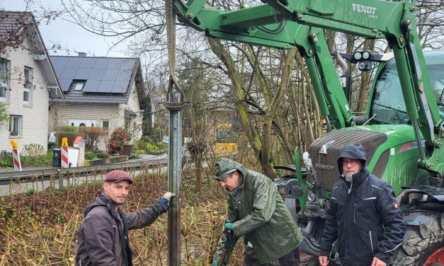 Hecke statt Leitplanke