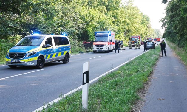 PKW landete im Straßengraben