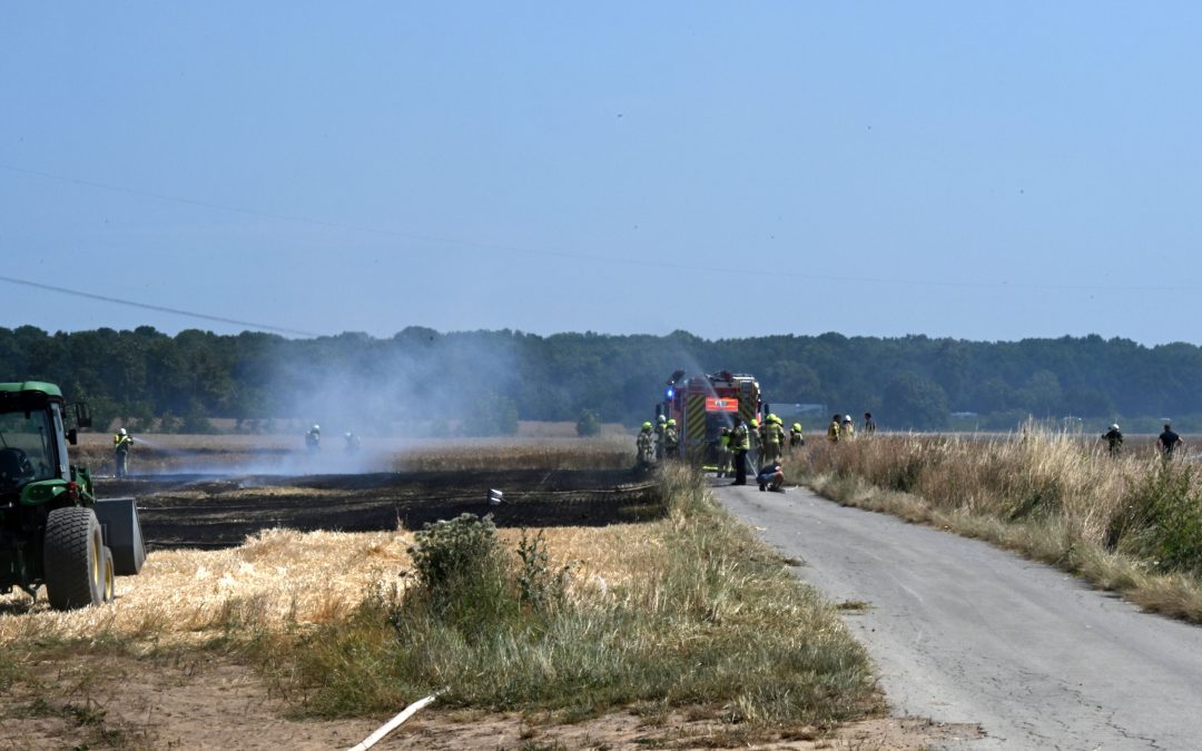 Pulheim-Sinnersdorf: Feldbrand konnte mit vereinten Kräften zügig gelöscht werden