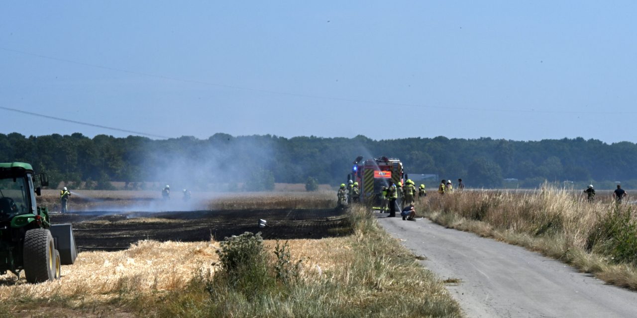 Pulheim-Sinnersdorf: Feldbrand konnte mit vereinten Kräften zügig gelöscht werden