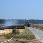 Pulheim-Sinnersdorf: Feldbrand konnte mit vereinten Kräften zügig gelöscht werden