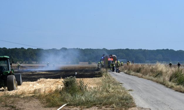 Pulheim-Sinnersdorf: Feldbrand konnte mit vereinten Kräften zügig gelöscht werden