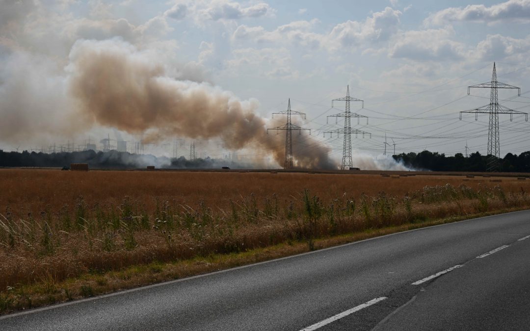 Feldbrand bedrohte Gehölzflächen