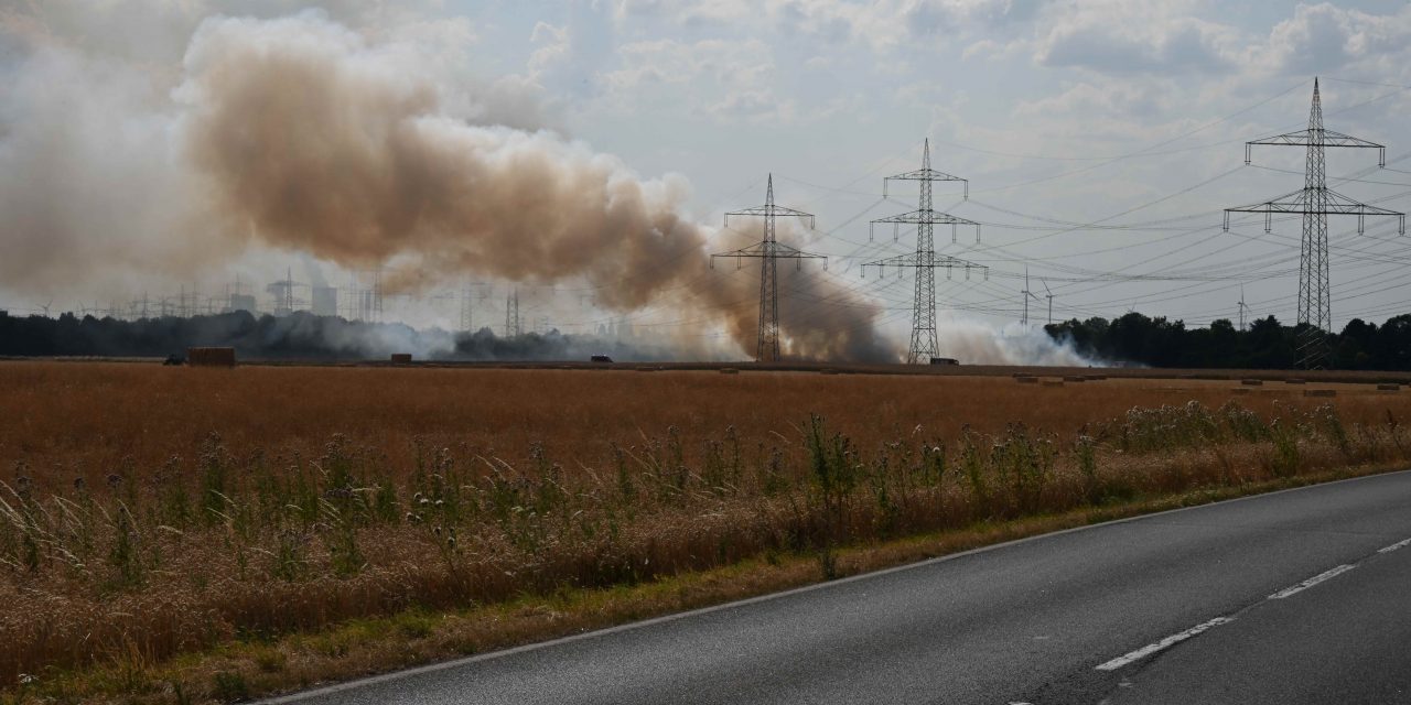 Feldbrand bedrohte Gehölzflächen