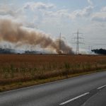 Feldbrand bedrohte Gehölzflächen