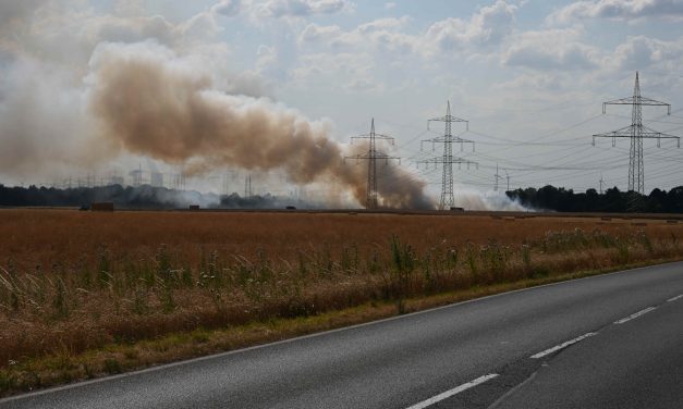 Feldbrand bedrohte Gehölzflächen
