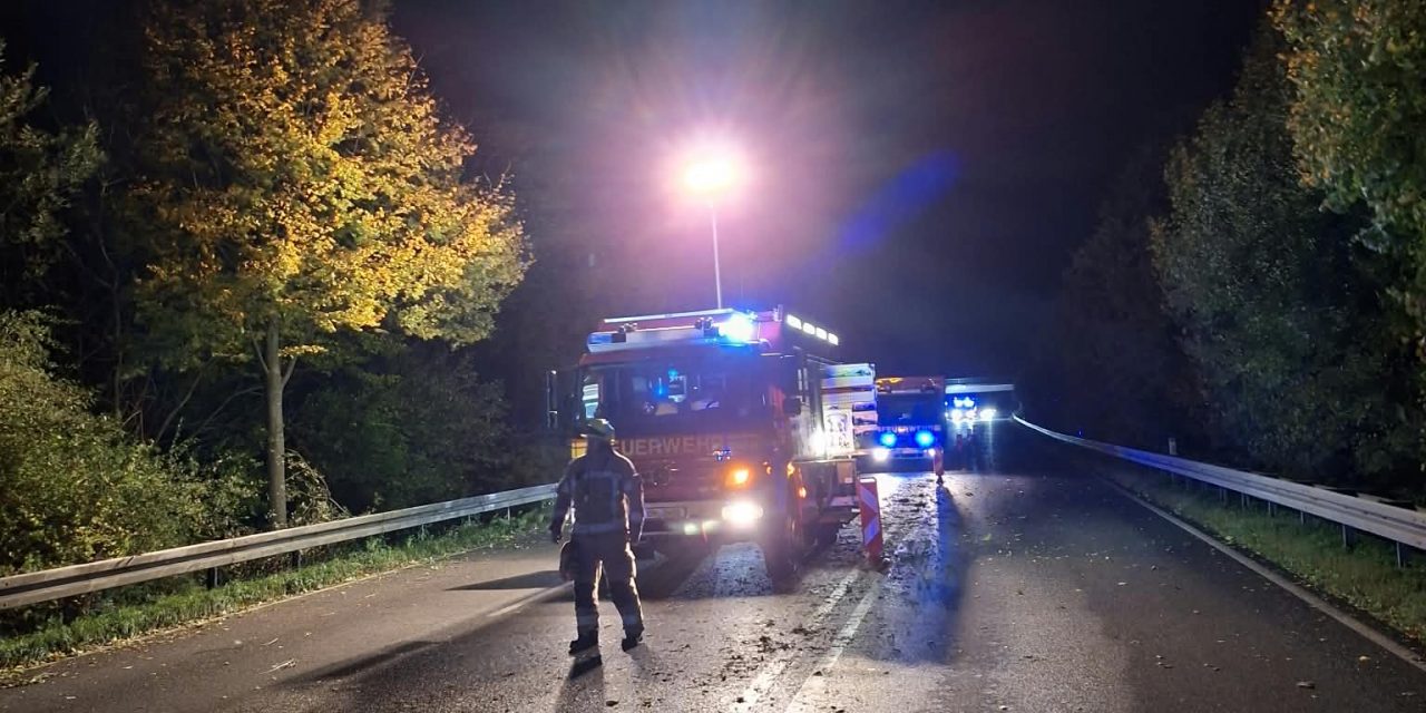 Erster Herbststurm bringt Arbeit für die Feuerwehr