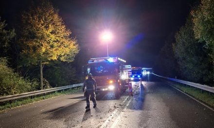 Erster Herbststurm bringt Arbeit für die Feuerwehr
